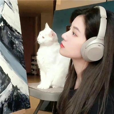我属于谁